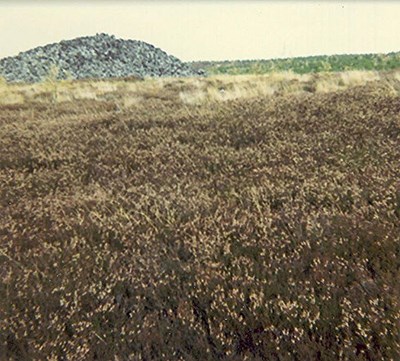 Chambered Tomb at Kinbrace ~ Round Cairn