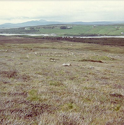 Enclosure at Ord, Lairg