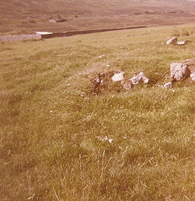 Hut Circle at Rhaoine, west of Rogart
