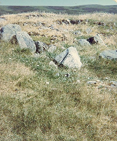 Durcha Broch, near Rosehall