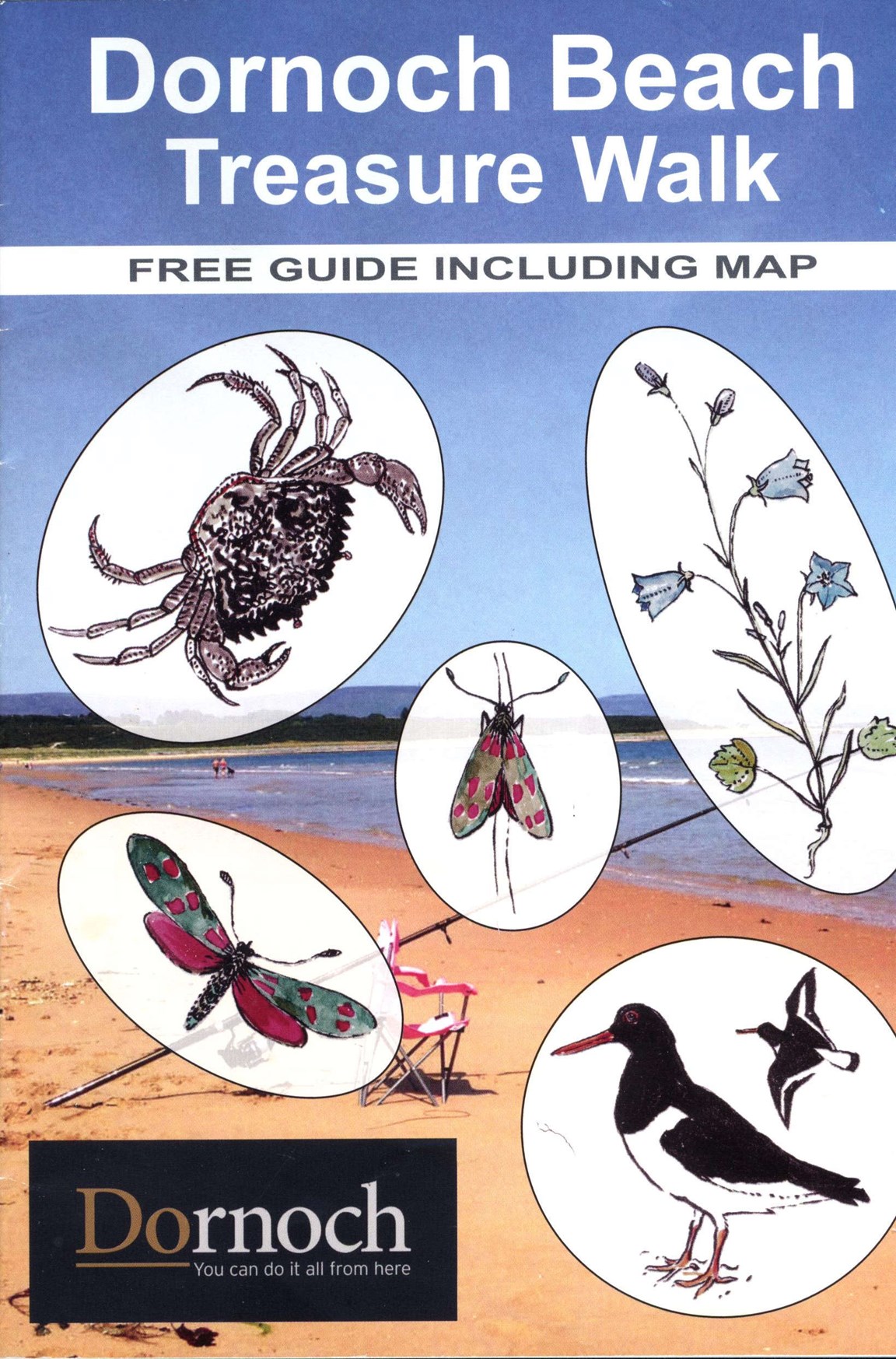 Dornoch Beach Treasure Walk Guide