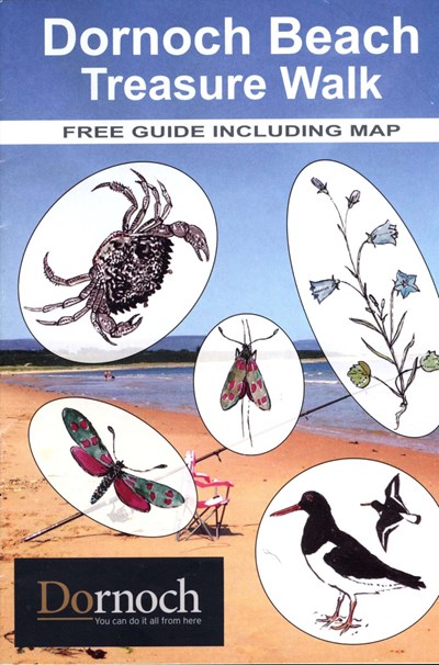 Dornoch Beach Treasure Walk Guide