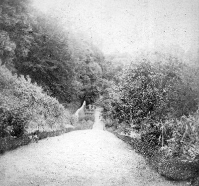 Road between Bonar Bridge and Clashmore