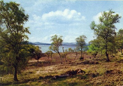 Loch Shin near Lairg, Sutherland