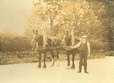 Sepia photograph of work horses in harness