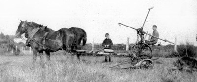 Photograph of farm horses pulling mower.
