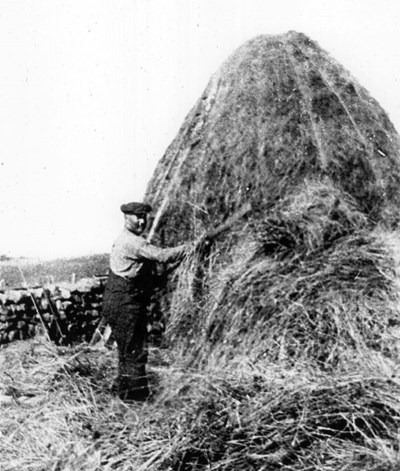 Photograph of Billy MacKenzie tying down a 'cole'