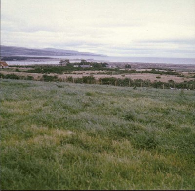 Photograph of of land after reclaimed and reseeded.