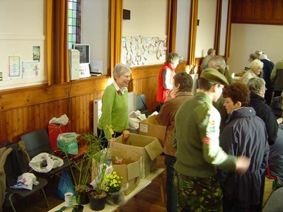 Plant Stall Dornoch Heritage Society Coffee Morning