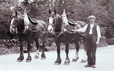 Two horses in harness, Railway workers