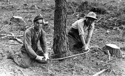 Canadian Forestry Corps