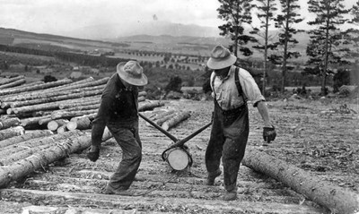 Canadian Forestry Corps