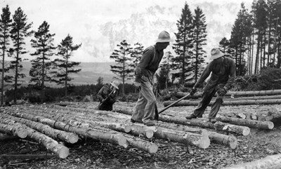 Canadian Forestry Corps