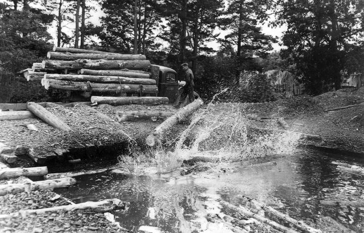 Canadian Forestry Corps