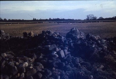 Chambered cairn Clashmore road