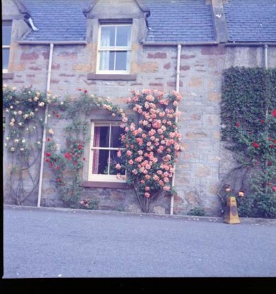 Floral display St Gilbert's Street, Dornoch