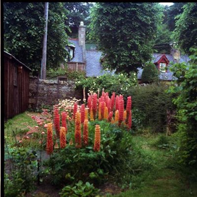 Floral display, Dornoch