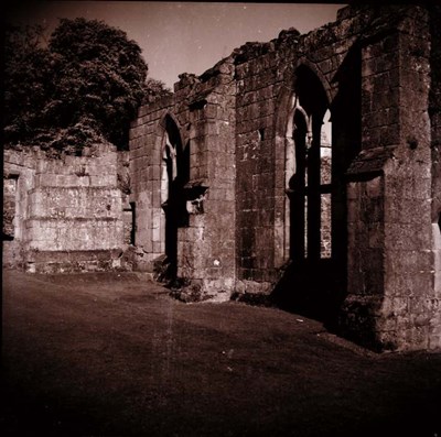Monastic Ruins