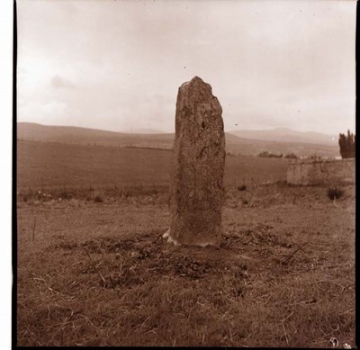 St.Demhan's Cross, Creich