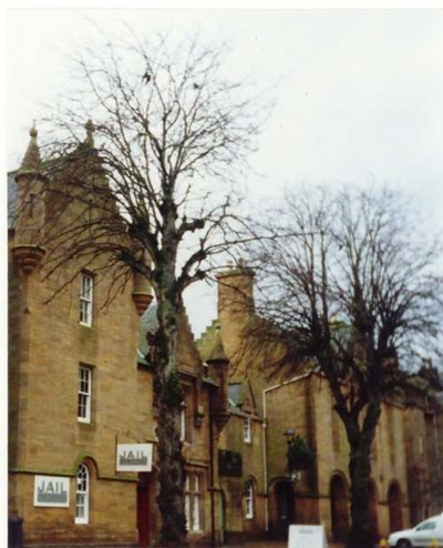 Trees outside the Jail, Dornoch
