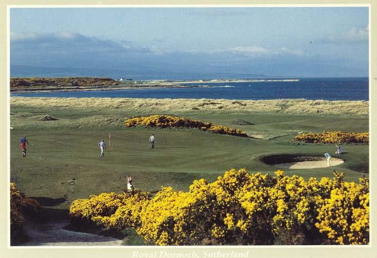Furness Postcard Collection - Golf course Dornoch