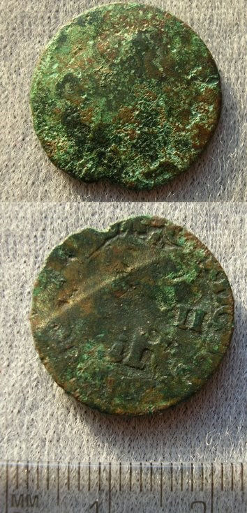 Coin found in Dornoch Woods