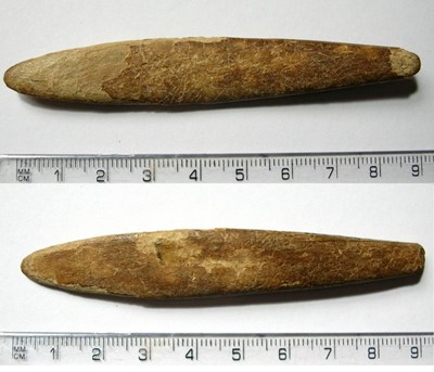 Small piece of shaped bone found at Skelbo Castle