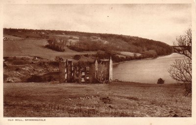 Spinningdale ~ The Old Mill