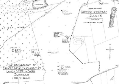 Camore Wood hut circles