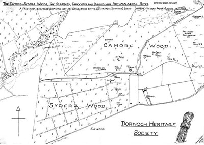 Camore Wood/Davochfin