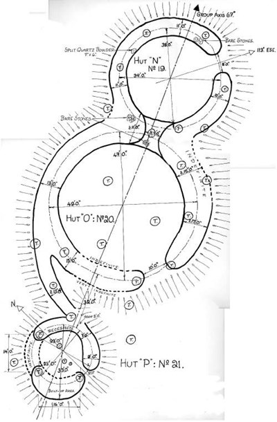 Hut circles ~ Camore Wood