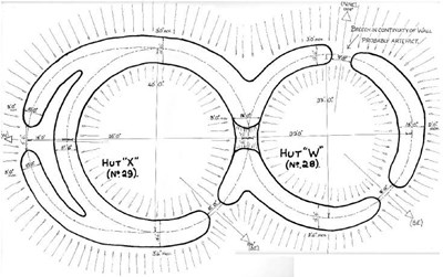 Hut circles ~ Camore Wood