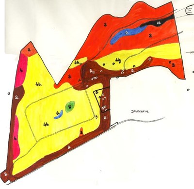 Soil analysis of Camore Wood