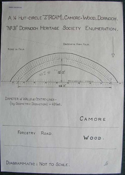 Hut circle ~ Camore Wood