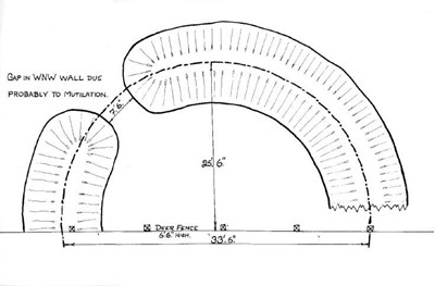 Hut circle ~ Camore Wood