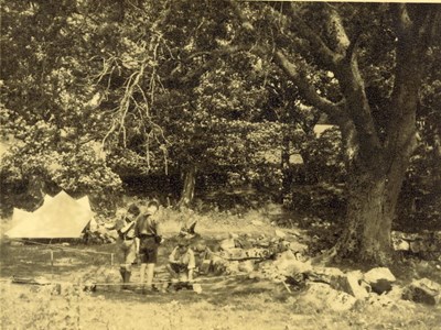 Scouts camping in woodland