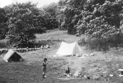 Scouts at a camp fire in a woodland setting