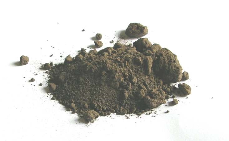 Soil sample from Cyderhall souterrain