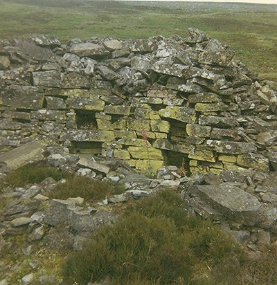 Aumries ~ Broch at Castle Cole, Strathbrora