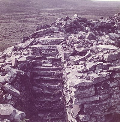 Staircase ~ Broch at Carrol