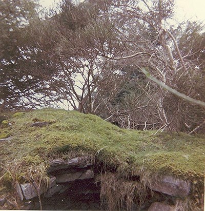 Broch in Dunrobin Wood