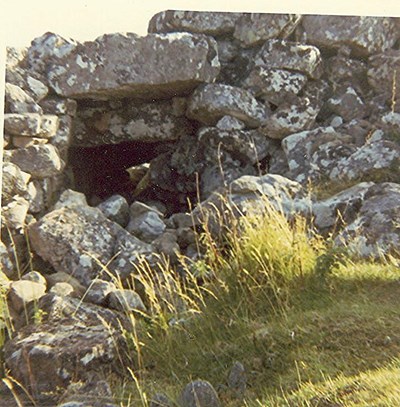 Entrance to the Borg, Forsinain