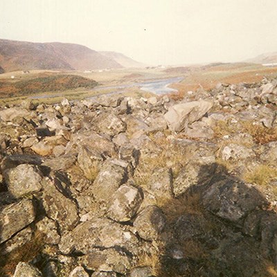 Ach Coillean Borgie Broch