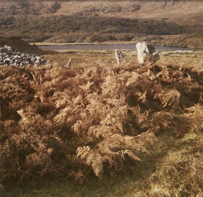 Chambered Tomb ~ Coillenaborgie Long Horned Cairn