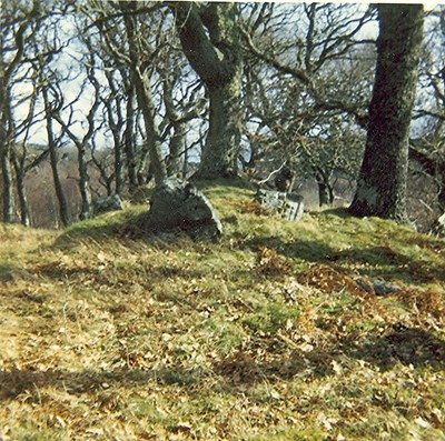 Chambered Tomb ~ Invershin Cairn