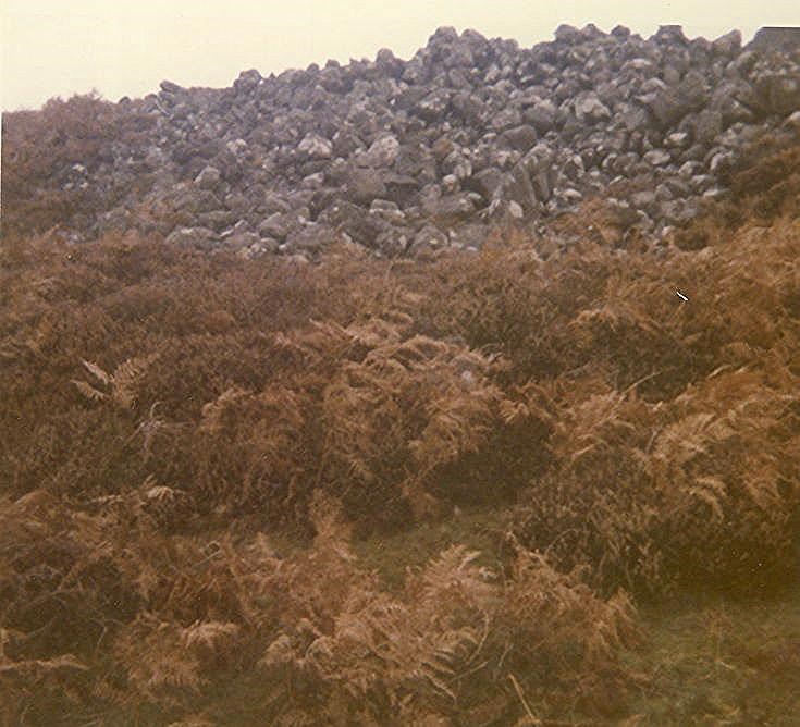 Coillenaborgie Middle Cairn