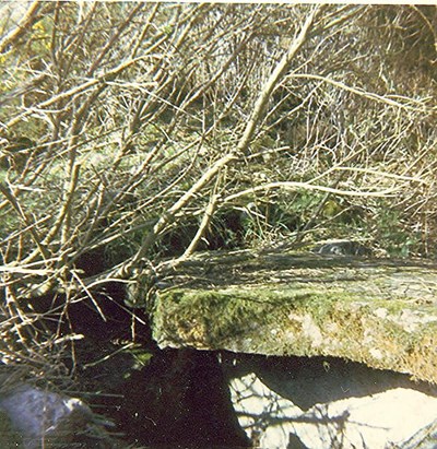 Chambered Tomb ~ Embo Street