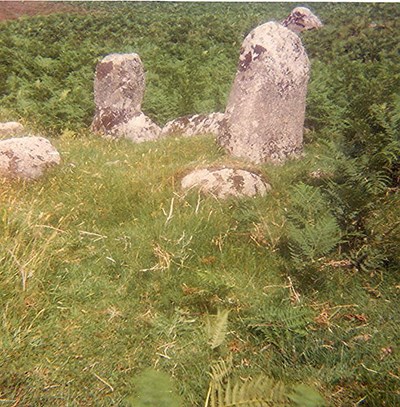 Chambered Tomb ~ Letty's Grave, Lettaidh, Rogart