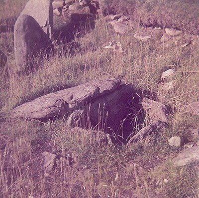 Chambered Tomb at Embo ~ Cist in Cairn