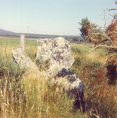 Chambered Tomb at Clashmore